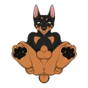 Sticker Zeke Doberman - 4