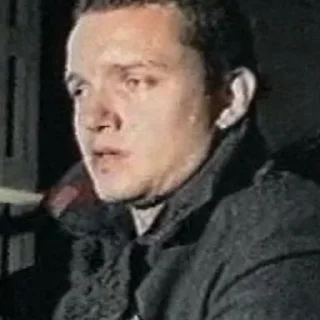 Sticker Зелёный слоник - 11