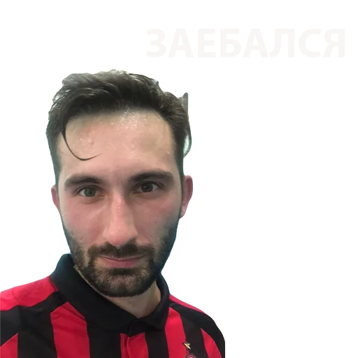 Sticker zemlyaki2_0 - 1