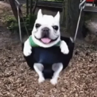 Стикер MEME PACK - 6