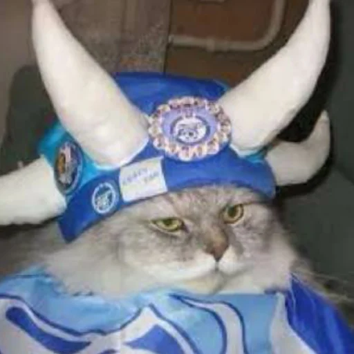 Стикер zenitstik - 1