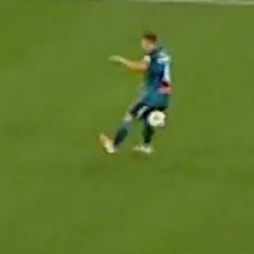 Sticker zenitstik - 1