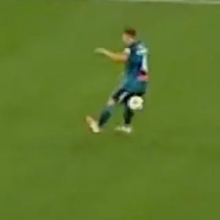 Стикер Зенит - 11