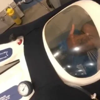 Стикер Зенит - 7