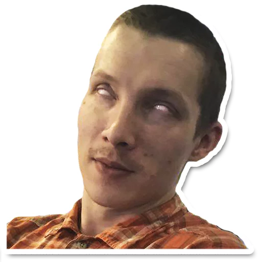 Sticker zensticker - 1