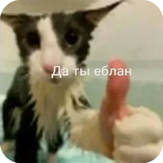 Стикер Больше стикеров 👉🏻 @stickertg4 - 11