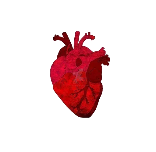 Sticker zgvIqeYG_by_stickers_stealer_bot - 1