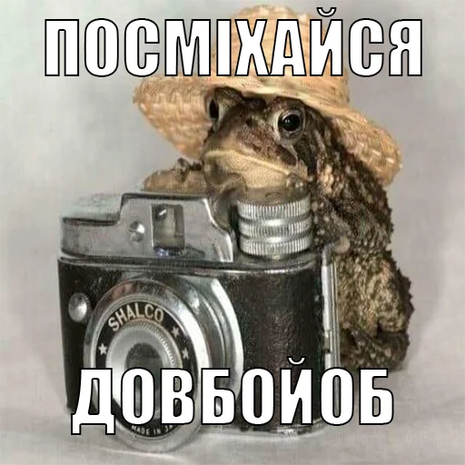 text camera cameras & optics