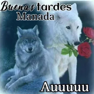 Стикер cloud white - 11