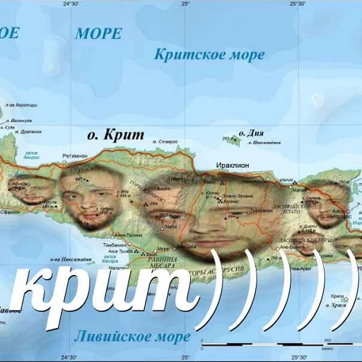 СМС человеческое лицо плакат