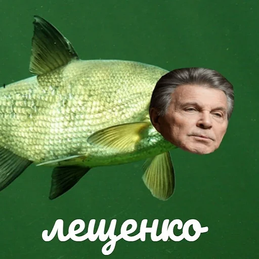 рыба человеческое лицо плавник