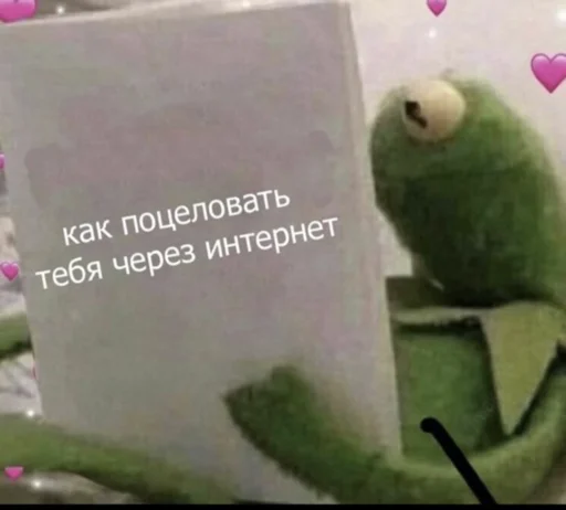 СМС попугай птица