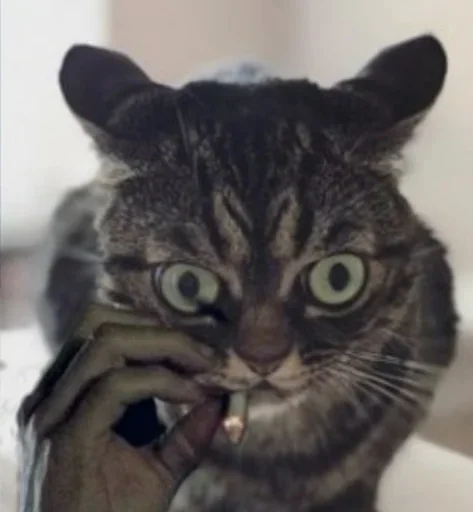 Sticker Жеваный Крои - 10