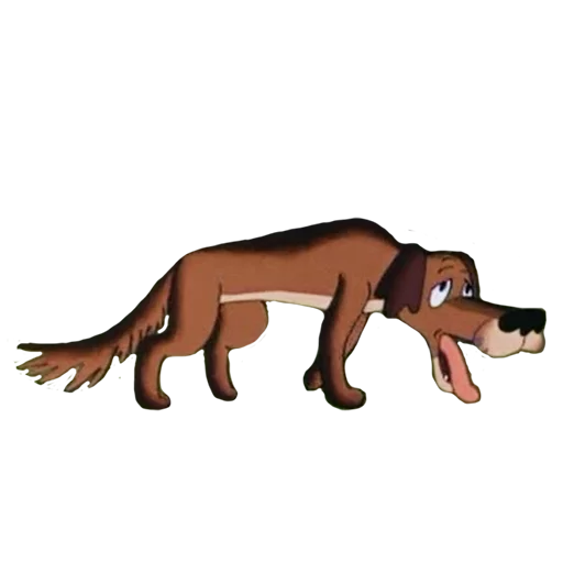 Человек женщина Ночь