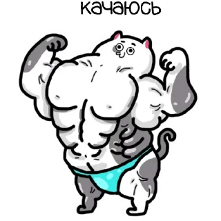 Sticker zhirobarsik @stickerex - 11