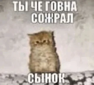 Sticker Жища @MoiStikiBot - 1