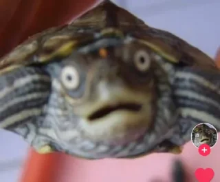 Стикер Пак от легенды - 2