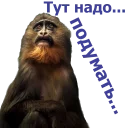 Sticker животные - 11