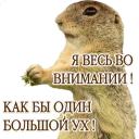 Sticker животные - 4