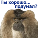 Sticker животные - 10