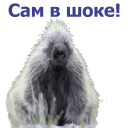 Sticker животные - 8