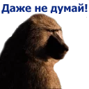 Sticker животные - 5