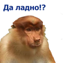 Sticker животные - 7