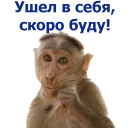 Sticker животные - 6