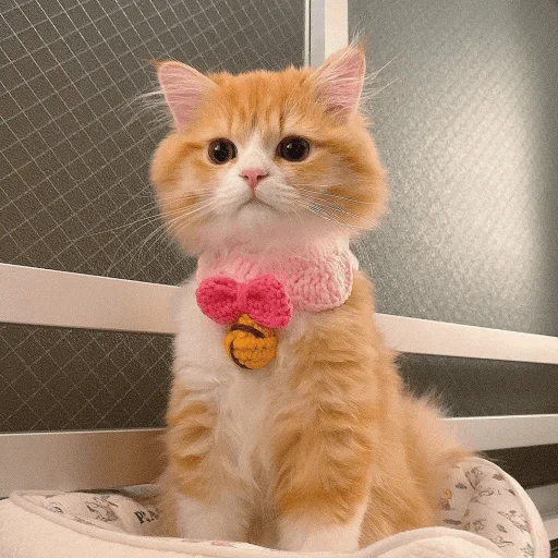 Sticker zhivyoly_by_TgEmodziBot - 1