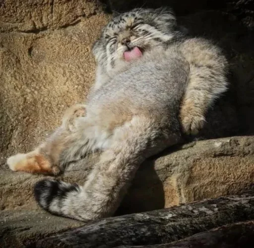 Живёлы @TgEmodziBot - 