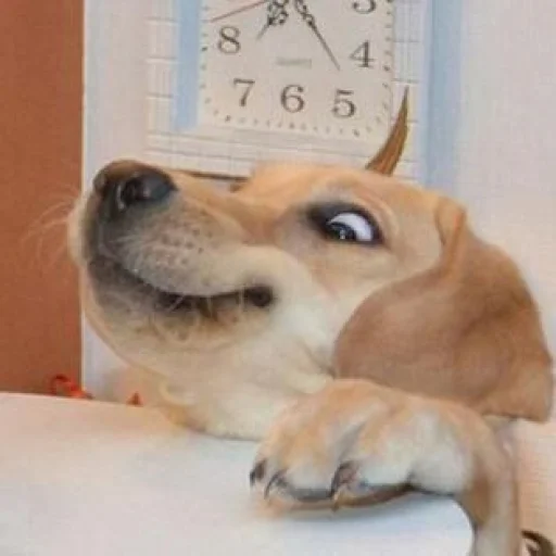 Sticker zhivyoly_by_TgEmodziBot - 1