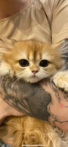 Sticker zhivyoly_by_TgEmodziBot - 1