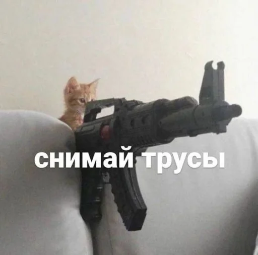 Sticker zhivyoly_by_TgEmodziBot - 1