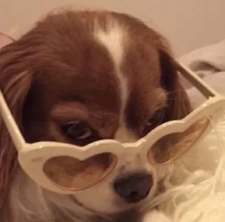 Sticker Живёлы @TgEmodziBot - 6