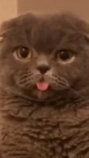 Sticker Живёлы @TgEmodziBot - 7