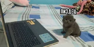 Sticker Живёлы @TgEmodziBot - 9