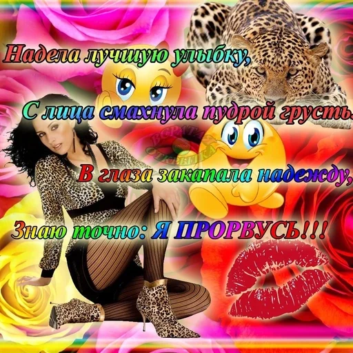 СМС плакат скриншот