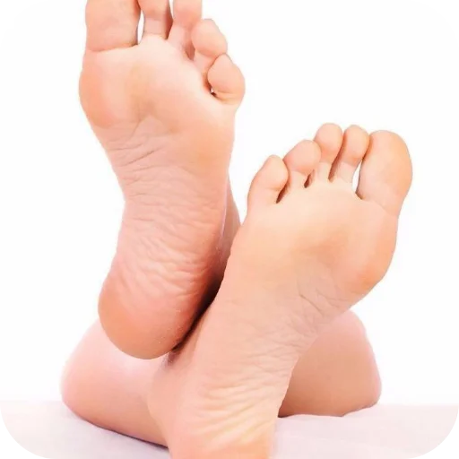 Стикер zhopki244 - 1