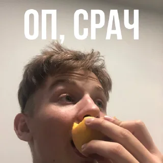 Sticker ~iamzhuk🪲 - 2