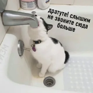 Sticker ~iamzhuk🪲 - 7