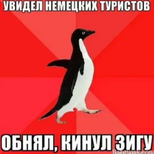 СМС животное водная птица