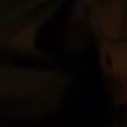 Sticker zio_hamster - 1