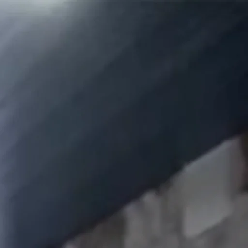 Sticker zio_hamster - 1