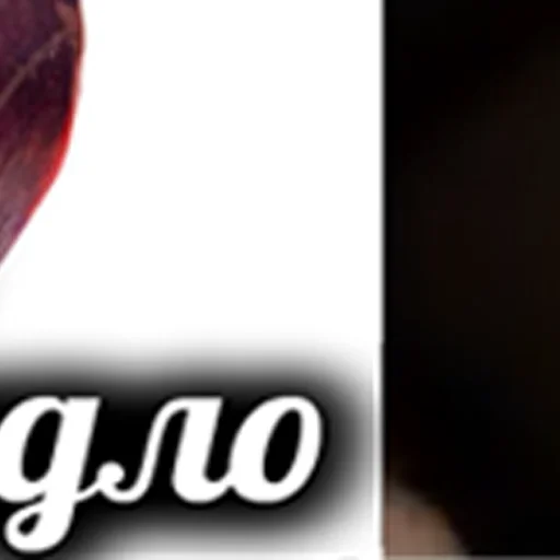 Sticker zio_hamster - 1