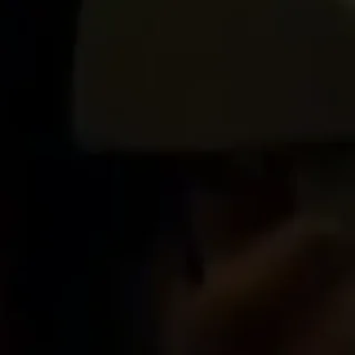 Sticker хомячок - 1