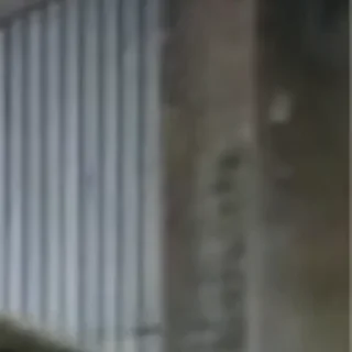 Sticker хомячок - 5