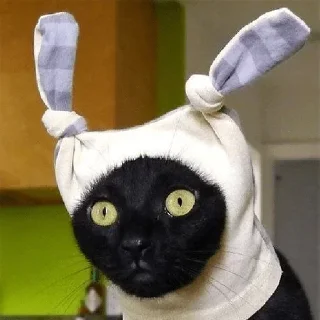 Стикер Больше стикеров → @funny_stickers_robot - 6