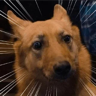 Стикер Больше стикеров → @funny_stickers_robot - 11