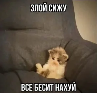 Стикер Создать Стикеры 👉@EmojiCatalogbot - 1