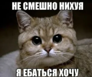 Sticker OK by zlaya ytka - 1